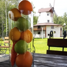 Мельница